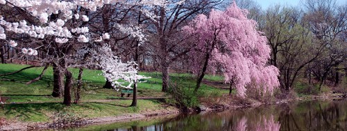 nature