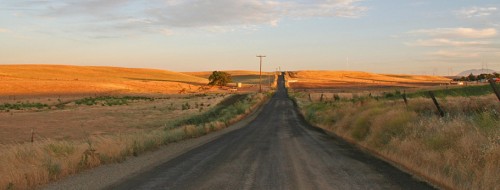 thelongroadahead